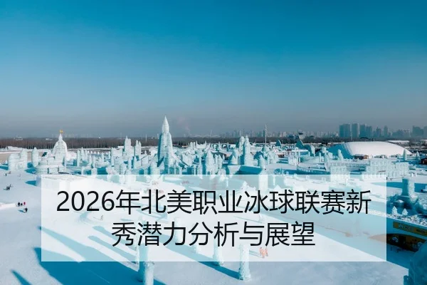 2026年北美职业冰球联赛新秀潜力分析与展望