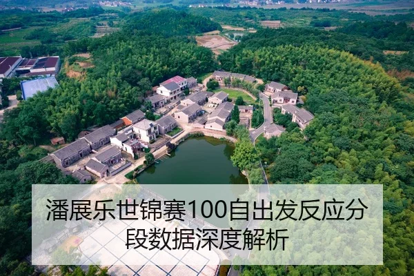 潘展乐世锦赛100自出发反应分段数据深度解析